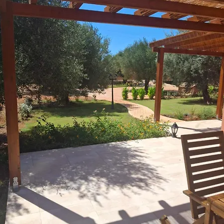 Villa Elysian Olive