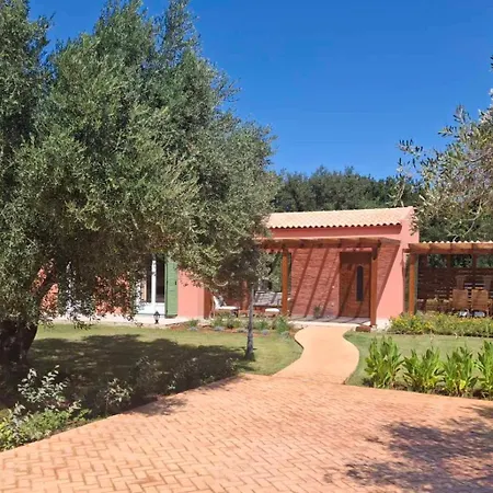 Elysian Olive Spartia
