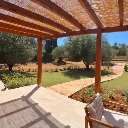 Villa Elysian Olive *